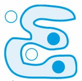 Astuce test psychotechnique numero 7