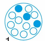 Astuce test de logique de serie test n°8